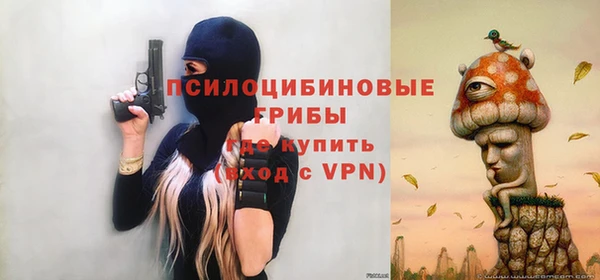 МДПВ Дмитриев