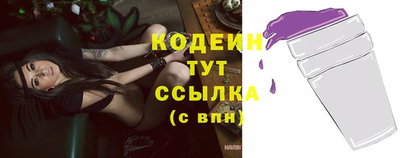 молекула духа Дмитровск