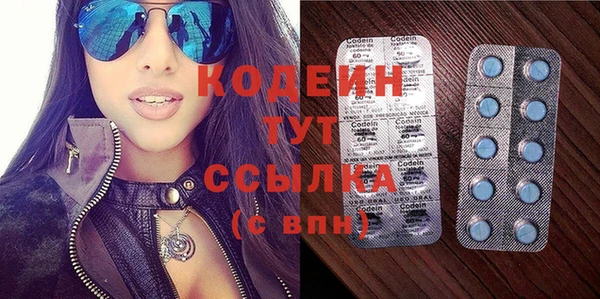 МДПВ Дмитриев
