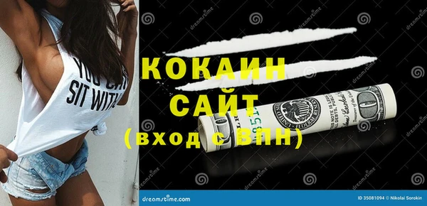 мдпв Гусев