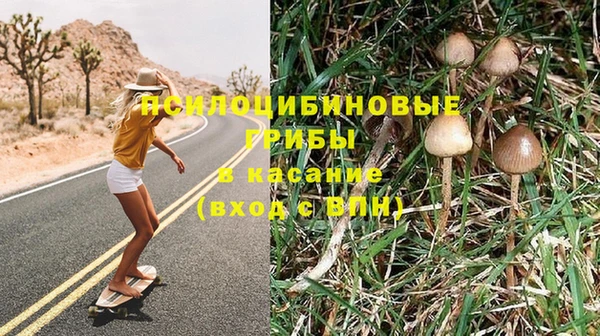 индика Нягань