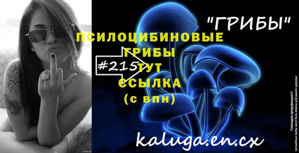 МДПВ Дмитриев